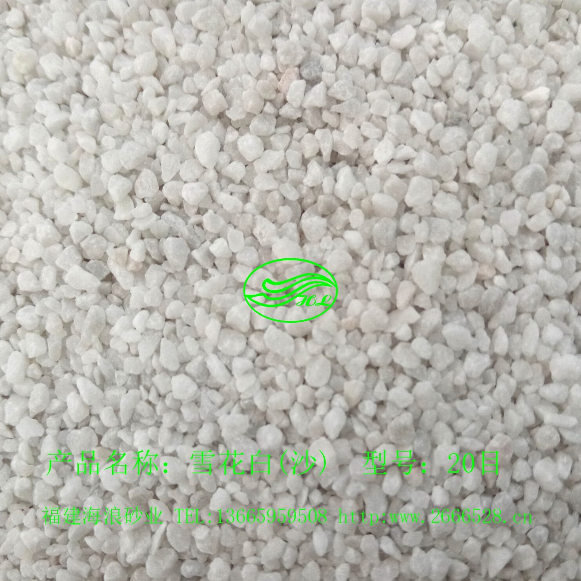 ѩ���ף�20Ŀ��